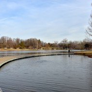 A flat, curving boardwalk cuts into Jefferson Oak