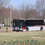 A bus stops near the History Museum.