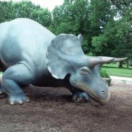 Triceratops replica