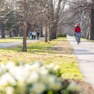 Dual Recreation Path along Lindell Cyclists, skaters and walkers on the Dual Recreation Path