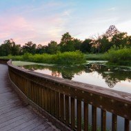 Boardwalk Boardwalk