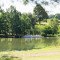 The green pavilion at Bowl Lake stands in the shade of trees on the edge of the lake shoreline