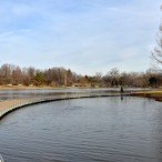A flat, curving boardwalk cuts into Jefferson Oak
