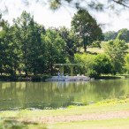 The green pavilion at Bowl Lake stands in the shade of trees on the edge of the lake shoreline