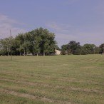 Lindell Field in Forest Park